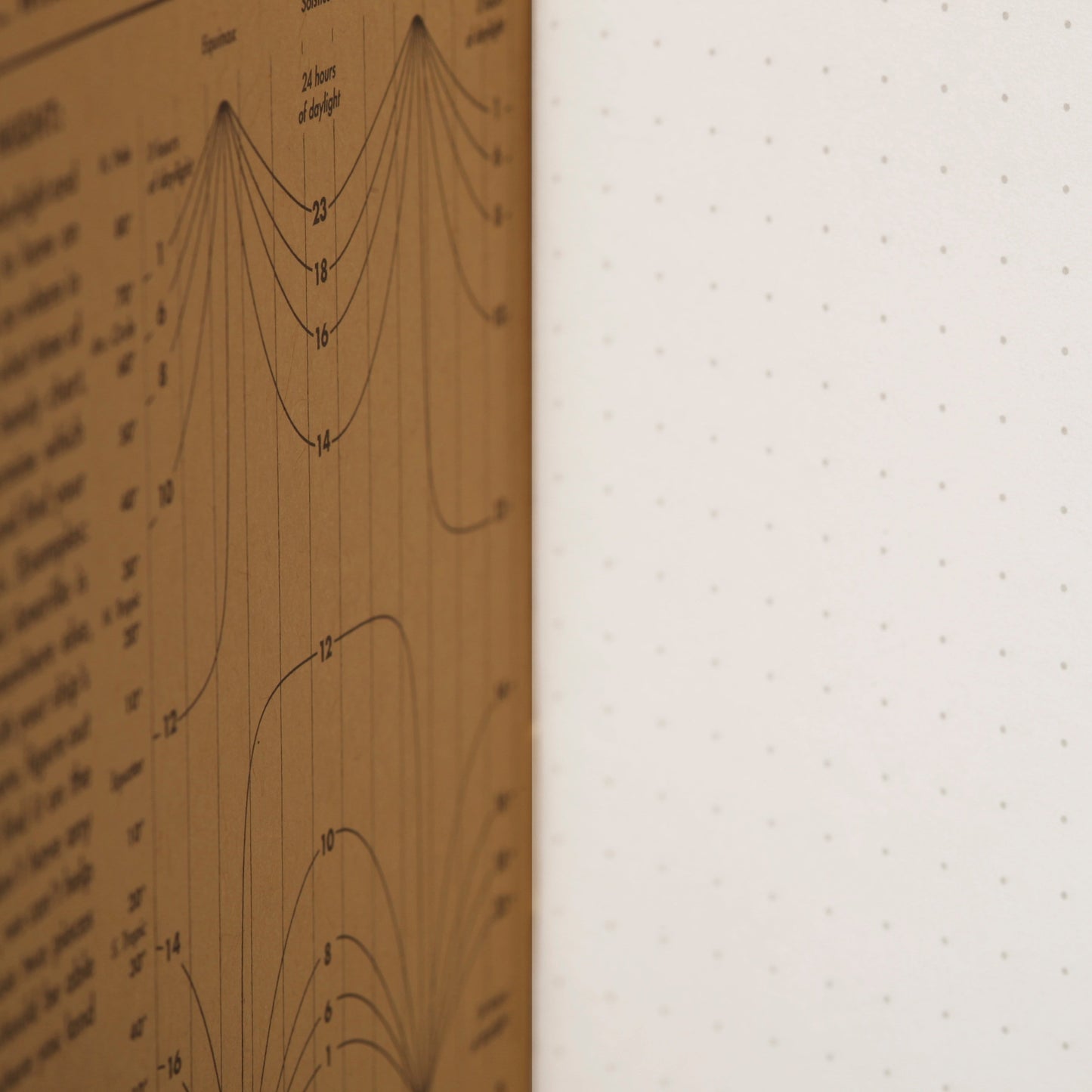 Field Notes | 'Pitch Black' Memo Book A6 | 3 Pack